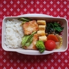 2023年1月19日のお弁当　