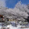 2015年1月17日(土)、18日(日)　[大阪の山レビュー]　霧氷の金剛山・文殊尾と、雪中キャンプ