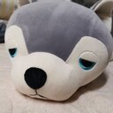 ウ夕の日記