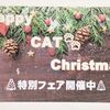 🎅Happy　CAT　Christmas🎄