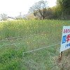 本妙寺公園→上熊本駅前周回2026.3月