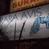 RARA AVIS