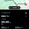 疲労と負傷 - 第58回青梅マラソン