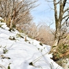 雪女プロジェクト奥物部　冬の山