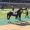 東京2R 予想 ◎6 ヒラボクカイザー #競馬