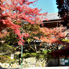 能仁寺の紅葉