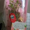 一日早く敬老の日