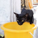 みゅ〜ぷろふぁん