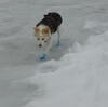 Woof（ワフ）で雪遊び（その2）