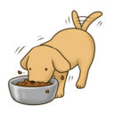 犬と歩けば　