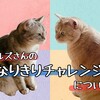 苦戦した、ヒルズさんの『なりきりチャレンジ』について