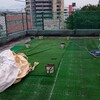 屋上の植木鉢を全て下ろしたら、フェンス際に