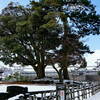 金沢城内の雪景色