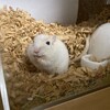 くるみあん300日目