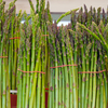 Improve your Heart Health by Buying & Eating Fresh Asparagus from Distributors