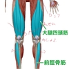 何故ふくらはぎが攣るのか？