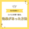 夏のコバエ奮闘記。コバエ対策には何が有効なのか色々試してみた。