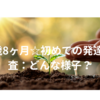 2歳8ヶ月☆初めての発達検査：どんな様子？