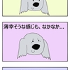 犬の笑顔（笑う犬　小夏）