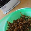 ホタテのヒモの干物完成。