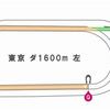 １１月２４日　東京第４レース　ChatGPT版