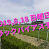 2019,8,18 日曜日 トラックバイアス予想 (新潟競馬場、小倉競馬場、札幌競馬場)