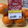 【偏食】みかん探しの旅に出る…