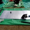 絶好の日和☆