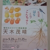 町田発　はなとりこんちゅう　理科をそだてた挿絵画家　天木茂晴 Shigeharu Amaki