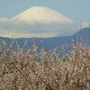 富士山と矢倉岳（やぐらだけ）