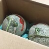 ふるさと納税で、北海道占冠村からメロン2玉が届きました！