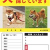 迷子ポスターを用意しておく