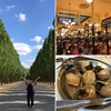 パリ／サンセバスチャン旅行記6　ヴェルサイユ宮殿後半&地元で人気の食堂へ