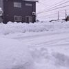 除雪に追われたお休みの日。ここらで一発パワーチャージ！みんな大好き「手巻き寿司パーティ」をしました🍣