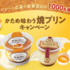 【懸賞情報】オハヨー乳業 かため味わう焼プリンキャンペーン