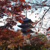 東寺　京都　旅のアーカイブ