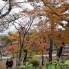 【旭日丘湖畔緑地公園】 見ごたえあるモミジの紅葉が今見頃です！