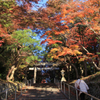  京都紅葉の旅　第二日目