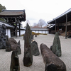 冬の京都庭園散歩〜東福寺・雪舟寺・霊雲院