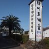 【韓国旅行】2020年10月　2泊3日　済州島(チェジュド)旅行③