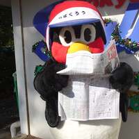 東京ヤクルトのアンテナ