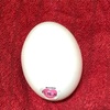 【ポケモンGO】孵化させるのにおすすめの卵