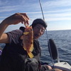 テンヤの釣り修行