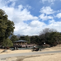 傷、トラウマ、癒し、克服。痛みがわかる人の美しさ。