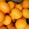 腐ったみかん🍊