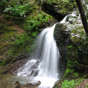 川・ログ   ～球磨川～