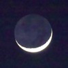 昨日の月