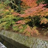 哲学の道の紅葉2025：見頃と色づき状況、混雑を避けるコツ！