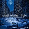 Quiet Winter Night / Hoff Ensemble (2012 SACD)