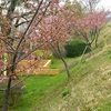 ２０１２年一日旅　花見リベンジ